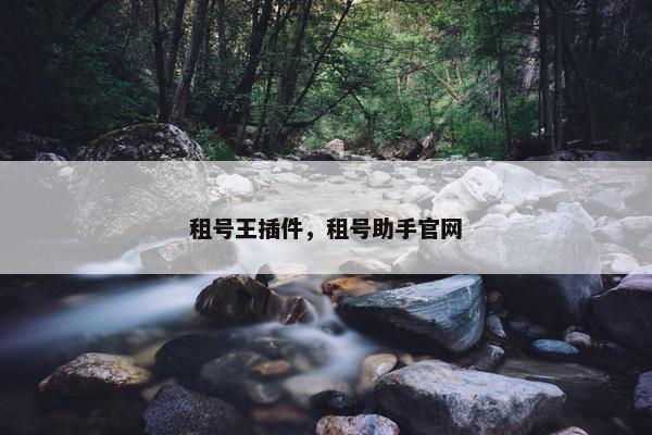 租号王插件，租号助手官网