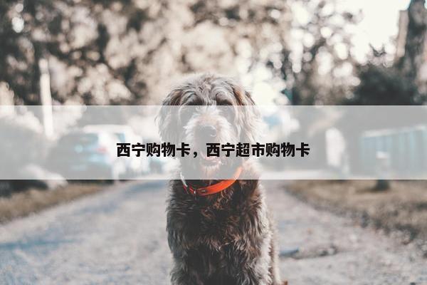 西宁购物卡，西宁超市购物卡