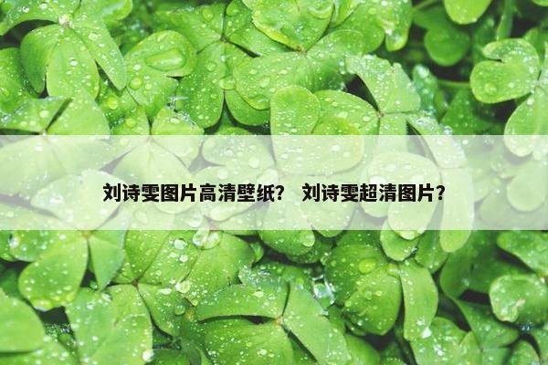 刘诗雯图片高清壁纸？ 刘诗雯超清图片？