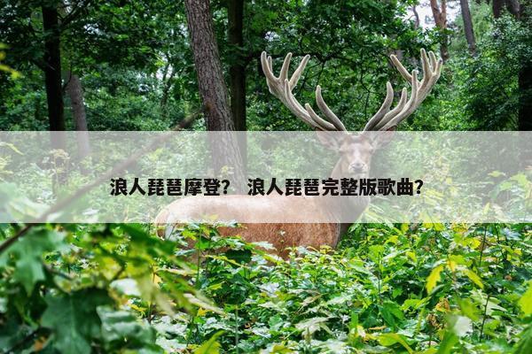 浪人琵琶摩登？ 浪人琵琶完整版歌曲？