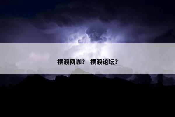 摆渡网咖？ 摆渡论坛？