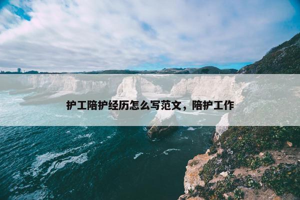 护工陪护经历怎么写范文，陪护工作