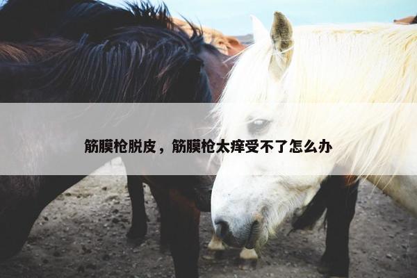 筋膜枪脱皮，筋膜枪太痒受不了怎么办