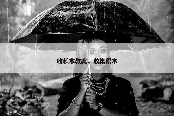 收积木教案，收集积木