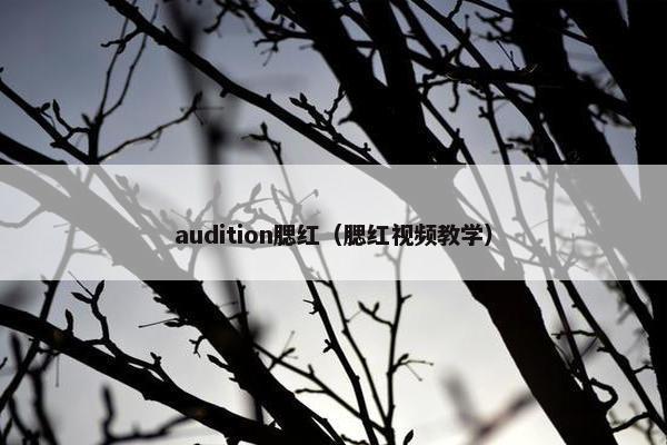 audition腮红（腮红视频教学）