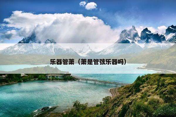乐器管萧（萧是管弦乐器吗）