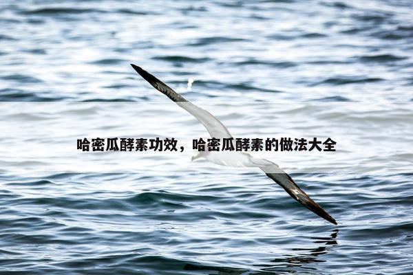 哈密瓜酵素功效，哈密瓜酵素的做法大全