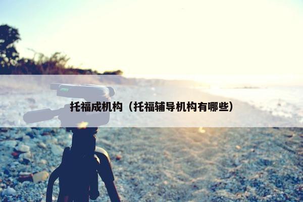 托福成机构（托福辅导机构有哪些）