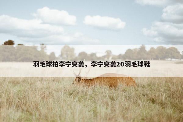 羽毛球拍李宁突袭，李宁突袭20羽毛球鞋