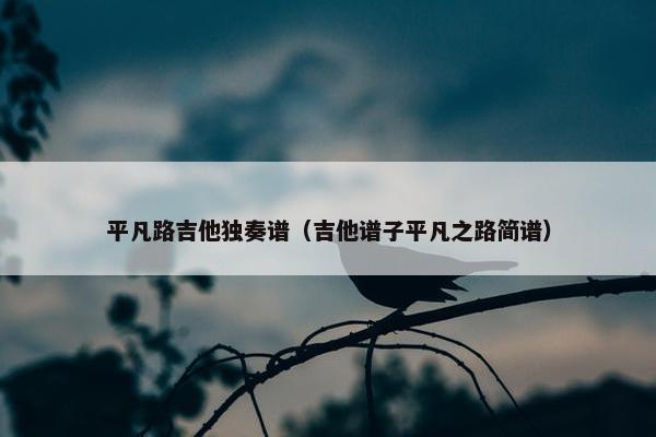平凡路吉他独奏谱（吉他谱子平凡之路简谱）