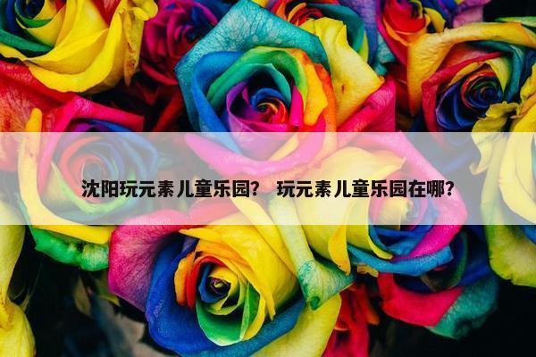 沈阳玩元素儿童乐园？ 玩元素儿童乐园在哪？
