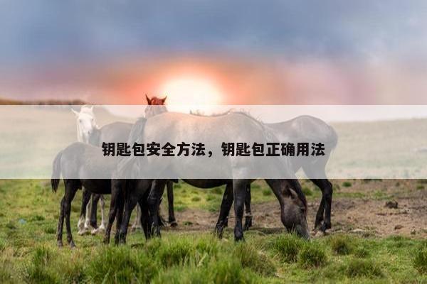 钥匙包安全方法，钥匙包正确用法