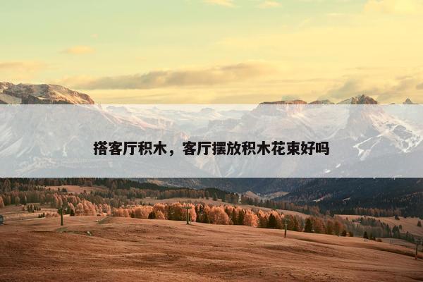 搭客厅积木，客厅摆放积木花束好吗