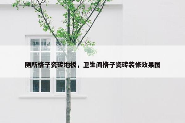 厕所格子瓷砖地板，卫生间格子瓷砖装修效果图