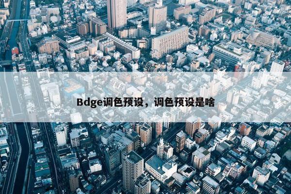 Bdge调色预设，调色预设是啥
