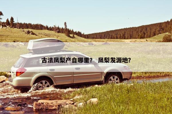 古法凤梨产自哪里？ 凤梨发源地？