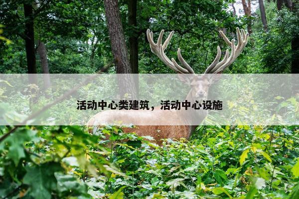 活动中心类建筑，活动中心设施