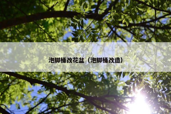 泡脚桶改花盆（泡脚桶改造）