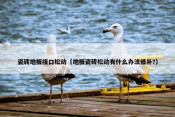 瓷砖地板接口松动（地板瓷砖松动有什么办法修补?）