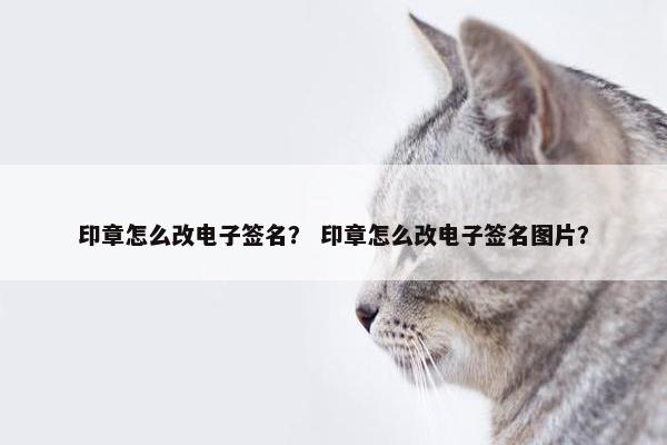 印章怎么改电子签名？ 印章怎么改电子签名图片？