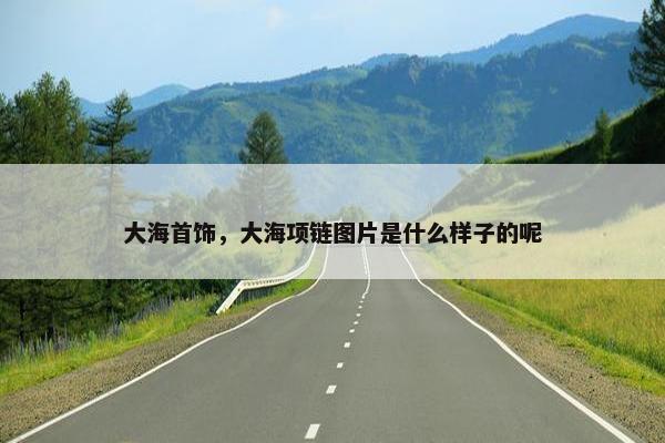大海首饰，大海项链图片是什么样子的呢