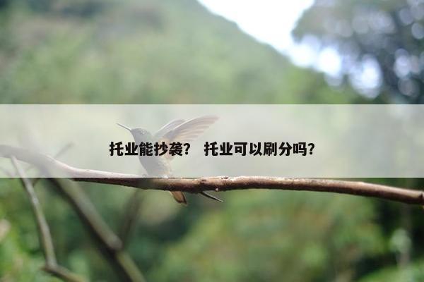 托业能抄袭？ 托业可以刷分吗？
