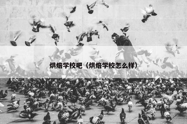 烘焙学校吧（烘焙学校怎么样）