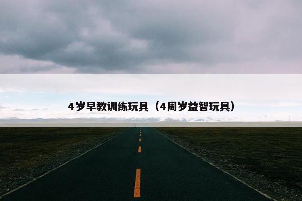 4岁早教训练玩具（4周岁益智玩具）