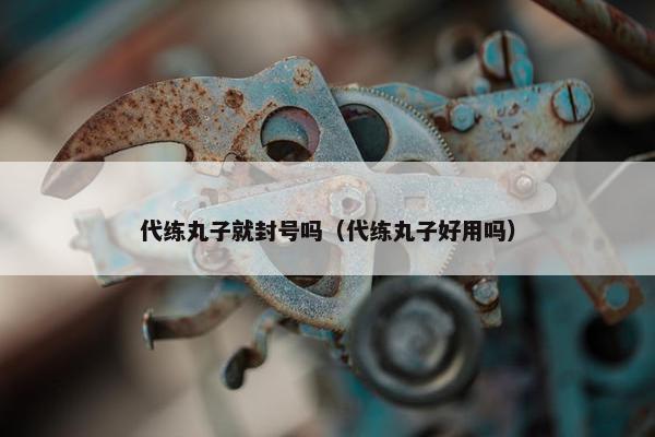 代练丸子就封号吗（代练丸子好用吗）