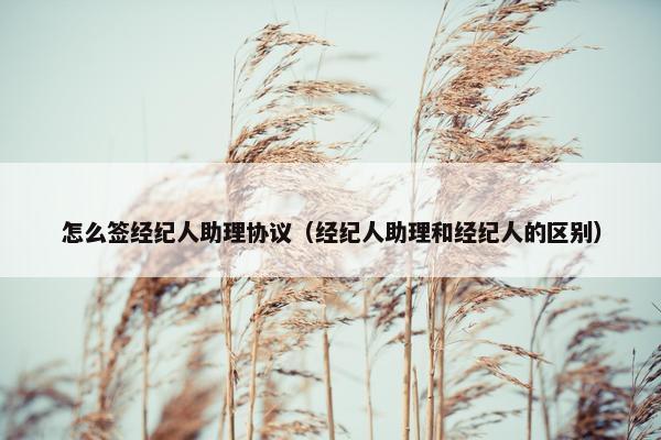 怎么签经纪人助理协议（经纪人助理和经纪人的区别）