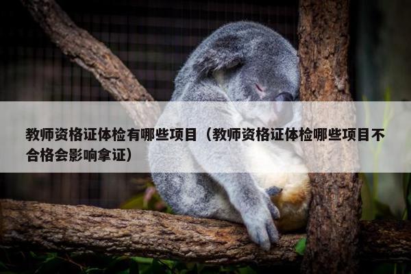 教师资格证体检有哪些项目（教师资格证体检哪些项目不合格会影响拿证）