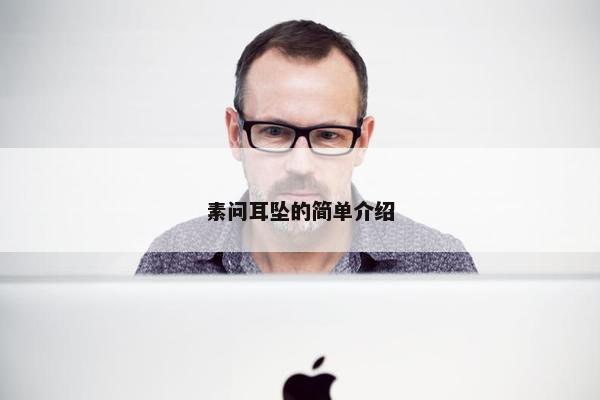 素问耳坠的简单介绍