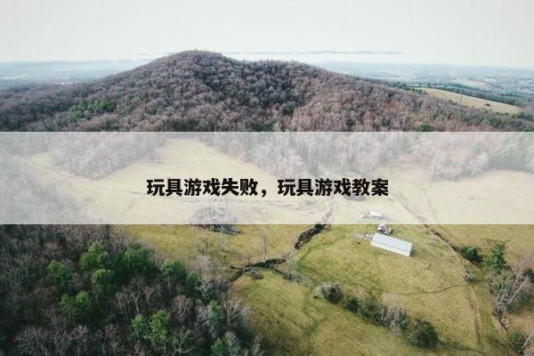 玩具游戏失败，玩具游戏教案