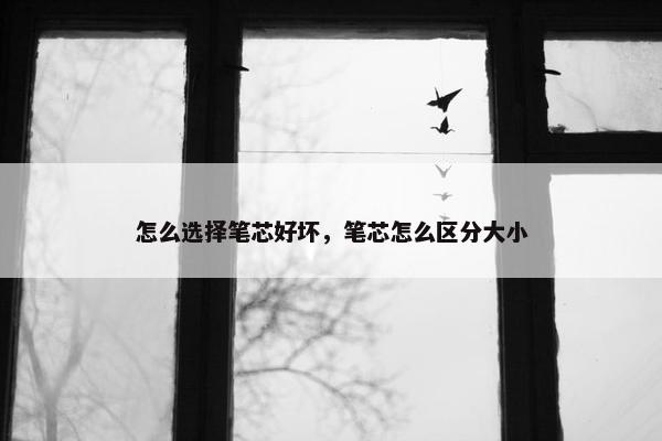 怎么选择笔芯好坏，笔芯怎么区分大小