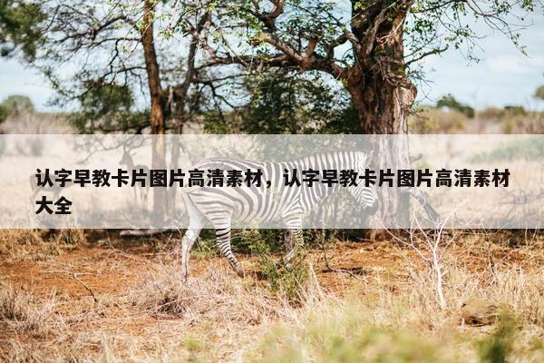 认字早教卡片图片高清素材，认字早教卡片图片高清素材大全