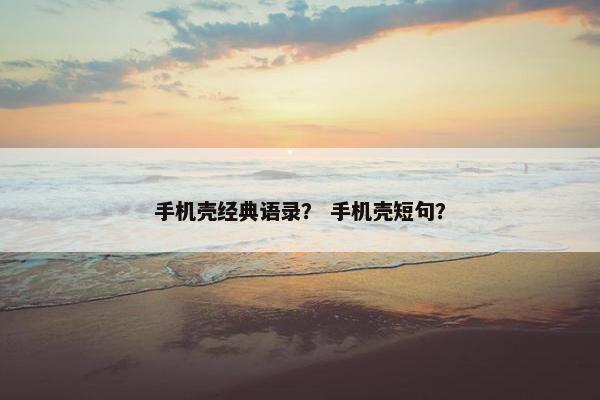 手机壳经典语录？ 手机壳短句？