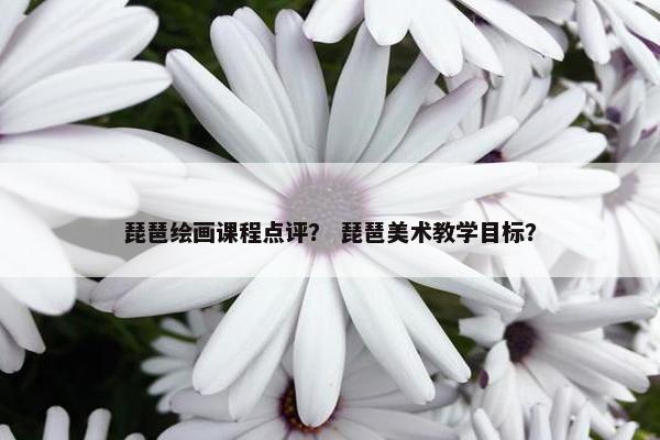 琵琶绘画课程点评？ 琵琶美术教学目标？