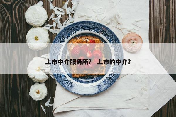 上市中介服务所？ 上市的中介？