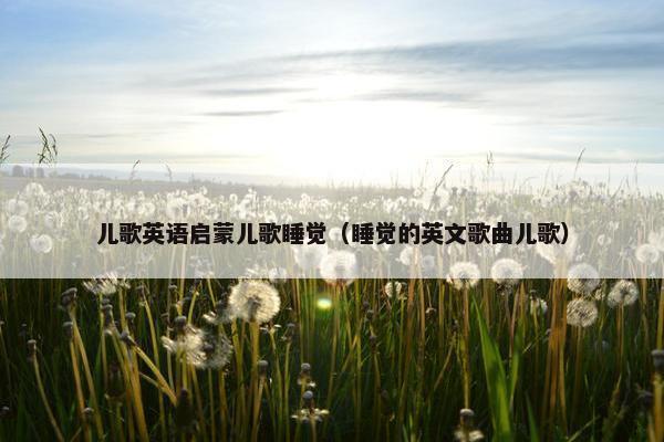 儿歌英语启蒙儿歌睡觉（睡觉的英文歌曲儿歌）