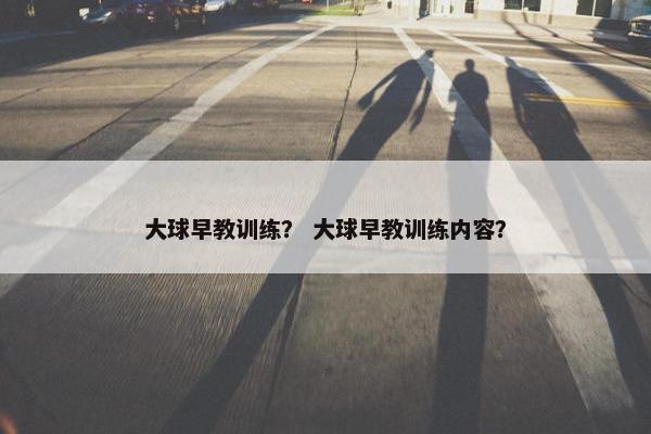大球早教训练？ 大球早教训练内容？
