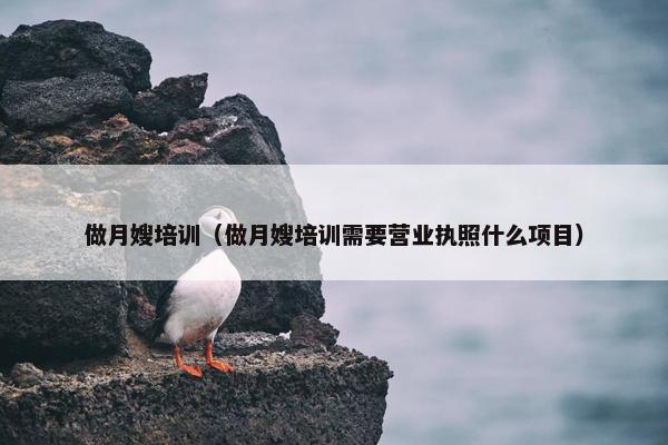 做月嫂培训（做月嫂培训需要营业执照什么项目）