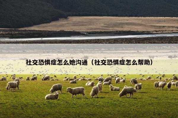 社交恐惧症怎么她沟通（社交恐惧症怎么帮助）
