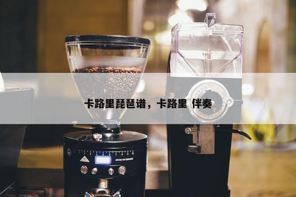 卡路里琵琶谱，卡路里 伴奏
