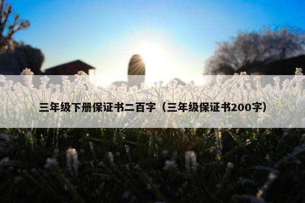 三年级下册保证书二百字（三年级保证书200字）