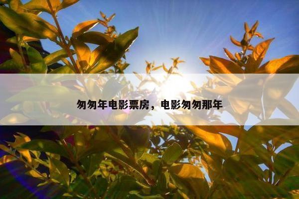 匆匆年电影票房，电影匆匆那年
