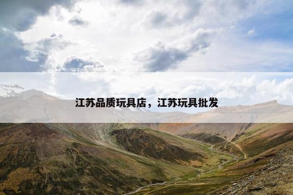 江苏品质玩具店，江苏玩具批发