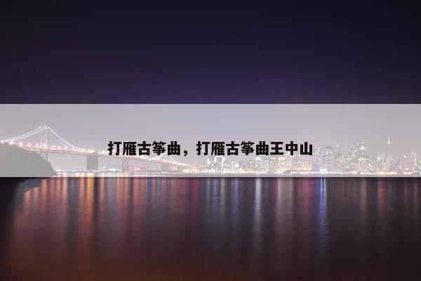 打雁古筝曲，打雁古筝曲王中山