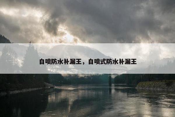 自喷防水补漏王，自喷式防水补漏王