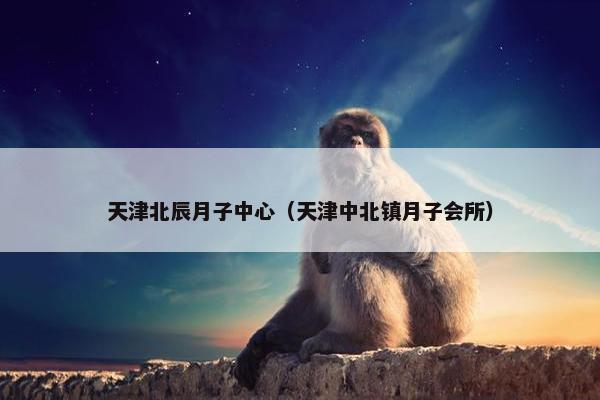 天津北辰月子中心（天津中北镇月子会所）