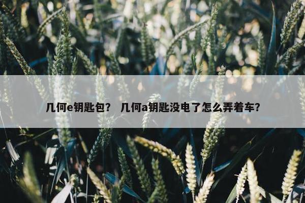 几何e钥匙包？ 几何a钥匙没电了怎么弄着车？